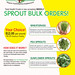 Bulk Sprouts - by MediaGrump
